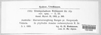 Uromycladium robinsonii image